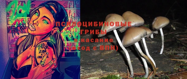 jwh Вязьма