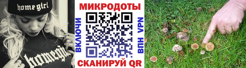 Псилоцибиновые грибы мицелий  Емва 